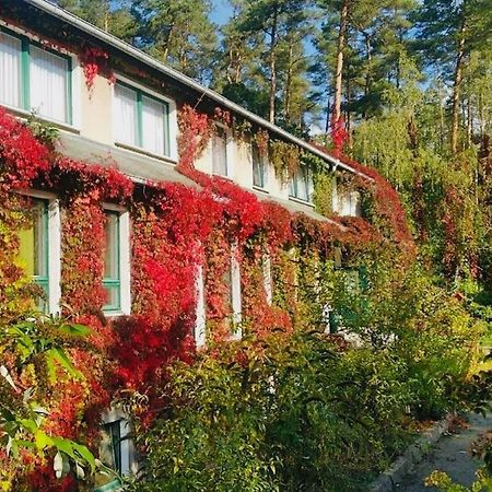 Pension Zur Fledermaus Waren  Exterior photo